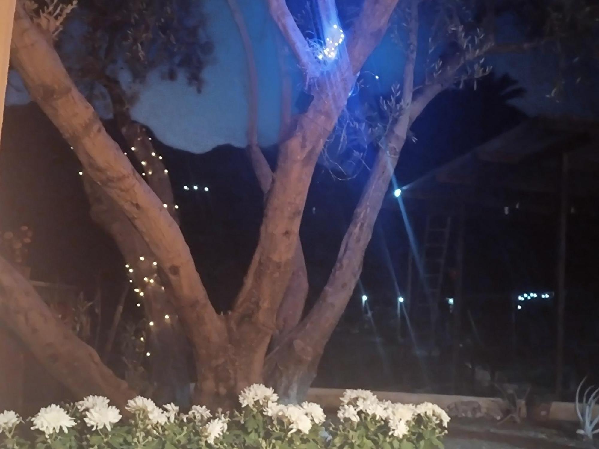 Santa Lucia La Casa De La Pradera Bed & Breakfast エクステリア 写真