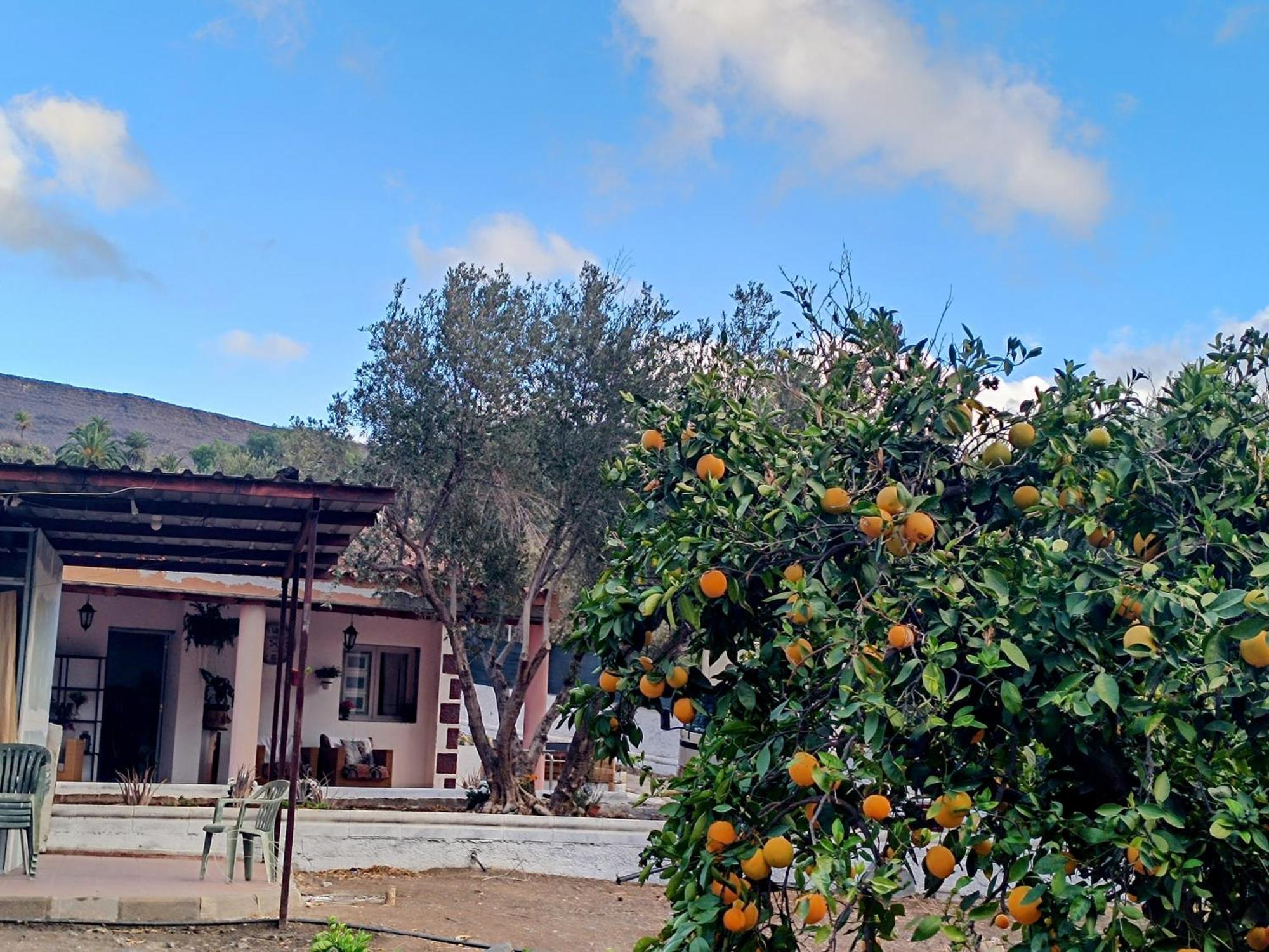 Santa Lucia La Casa De La Pradera Bed & Breakfast エクステリア 写真