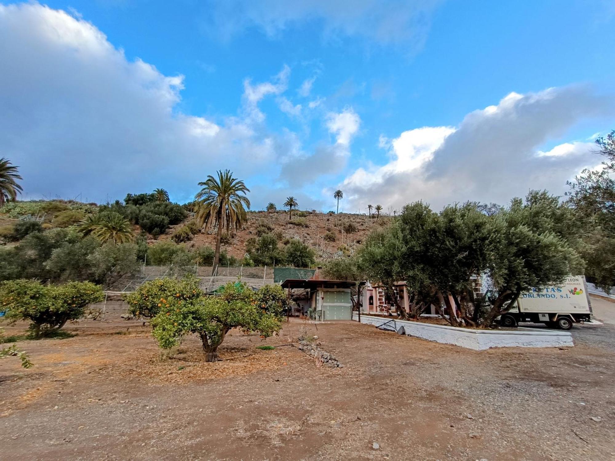 Santa Lucia La Casa De La Pradera Bed & Breakfast エクステリア 写真